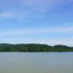 Oplus_131072