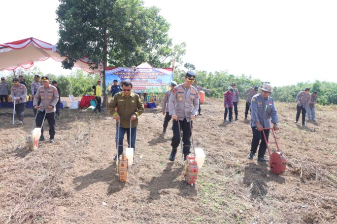
 Polres Tabalong Tanam Jagung Dukung Program Swasembada Pangan Presiden Prabowo