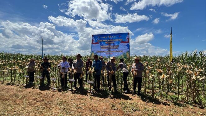
 Panen Jagung Serentak Kuattal II dan Groundreaking 10 Gudang Ketahanan Pangan Polri Serta Loncing Operasional 166 SPPG Polri