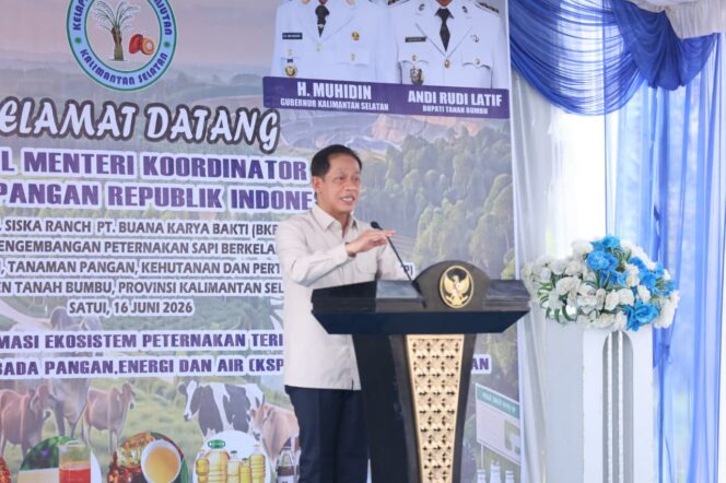 
 Wamenko Pangan RI Tinjau KSPEAN di Tanah Bumbu, Pemkab Dukung Integrasi Sapi-Sawit