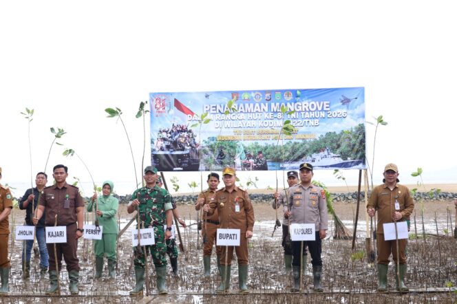 
 Tanah Bumbu Tanam 1.000 Mangrove Peringati HUT ke-81 TNI*